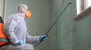 Biohazard Mold Removal in Hoopa, CA